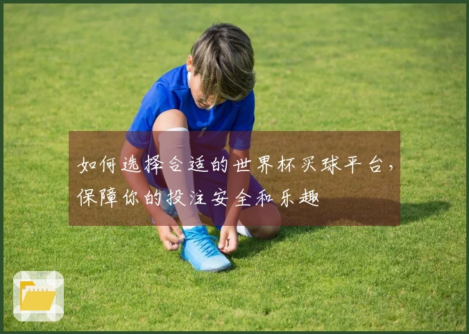 如何选择合适的世界杯买球平台，保障你的投注安全和乐趣