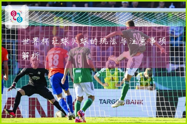 世界杯让球买球的玩法与注意事项解析