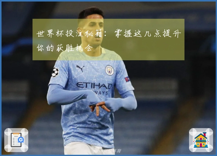 世界杯投注秘籍：掌握这几点提升你的获胜机会
