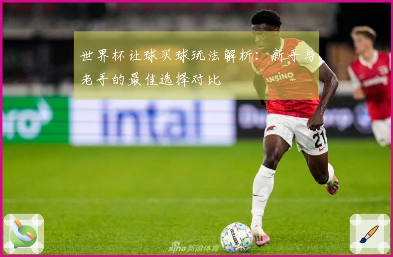世界杯让球买球玩法解析：新手与老手的最佳选择对比